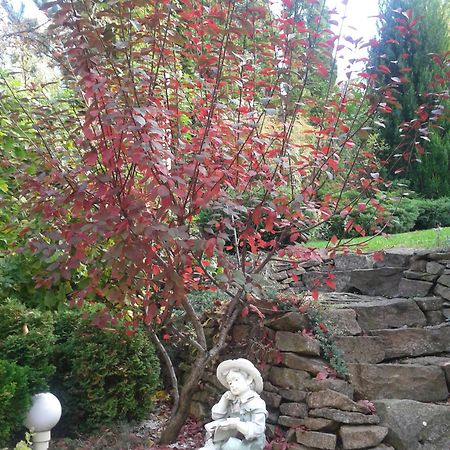 Bed and Breakfast Cecey Vendeghaz Erlau Exterior foto