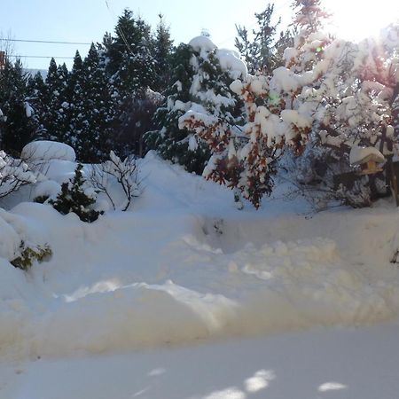 Bed and Breakfast Cecey Vendeghaz Erlau Exterior foto