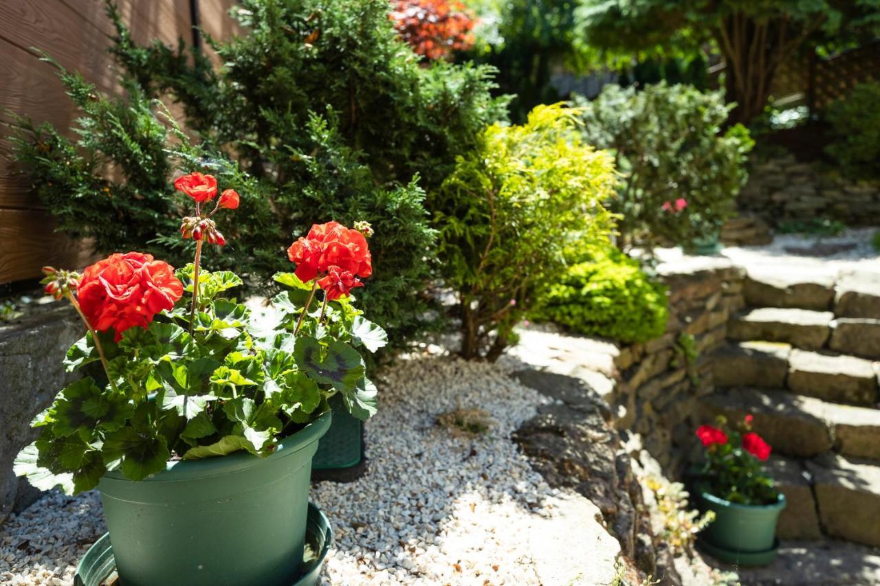 Bed and Breakfast Cecey Vendeghaz Erlau Exterior foto